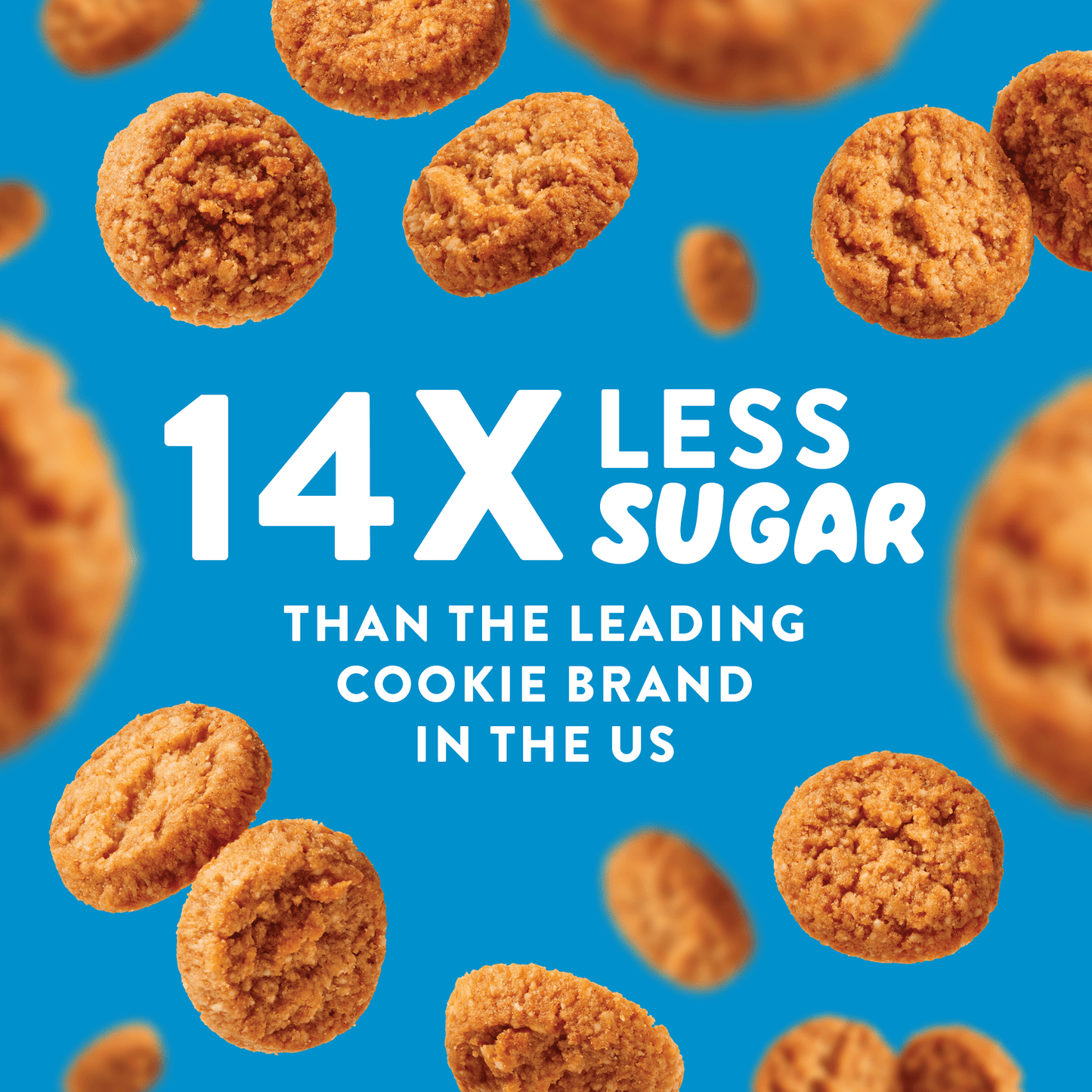 Mini Cookies: Ginger Spice (3 Pack - 2 oz bags)